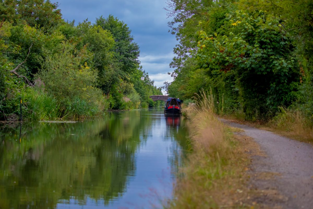 Narrowboats moored on a tranquil English canal