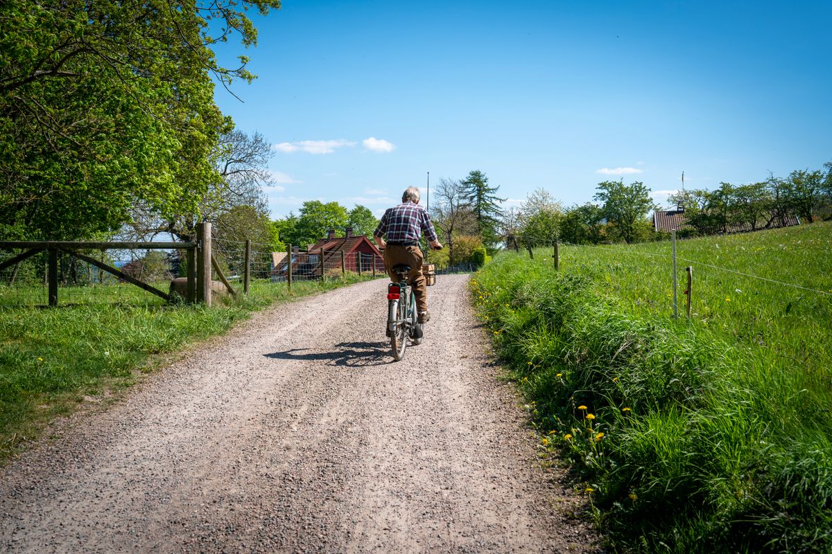 Cyclist on a countryside trail on a sunny day