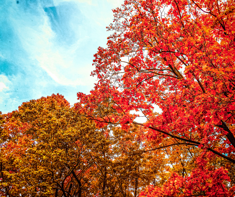 What's On September